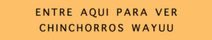 chinchorros wayuu boton